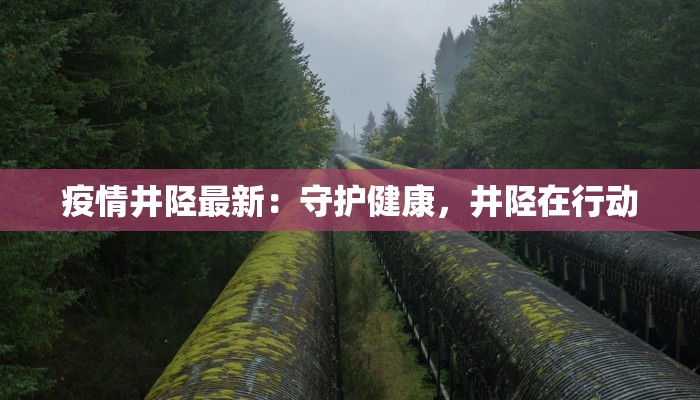 疫情井陉最新:守护健康,井陉在行动 疫情井陉最新:守护健康,井陉在行动
