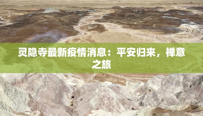 灵隐寺最新疫情消息：平安归来，禅意之旅