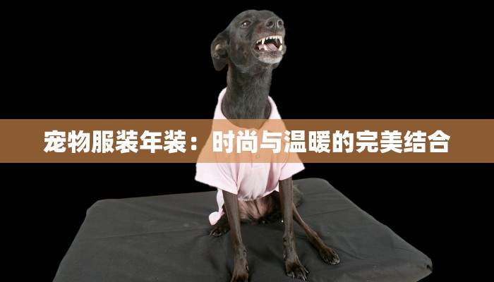 吉林四平疫情最新情报