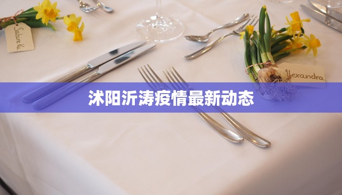 沭阳沂涛疫情最新动态