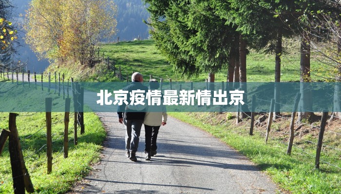 北京疫情最新情出京