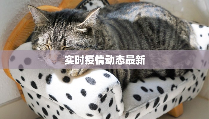 实时疫情动态最新