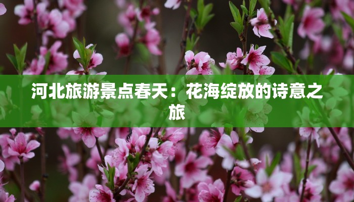 河北旅游景点春天:花海绽放的诗意之旅 河北旅游景点春天:花海绽放的诗意之旅