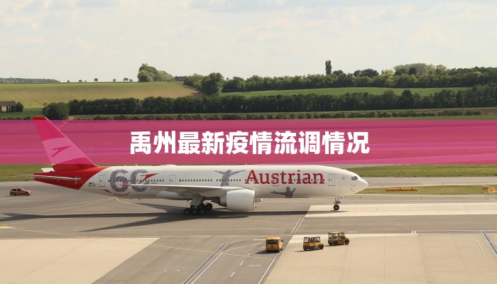 禹州最新疫情流调情况