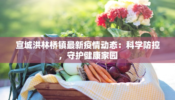宣城洪林桥镇最新疫情动态:科学防控,守护健康家园 宣城洪林桥镇最新疫情动态:科学防控,守护健康家园