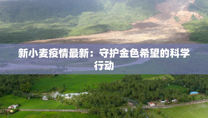 全国疫情最新情报新乡 全国疫情最新情报新乡