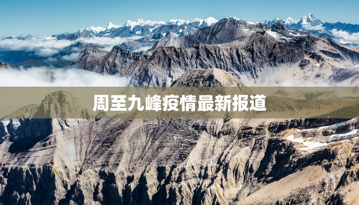 周至九峰疫情最新报道