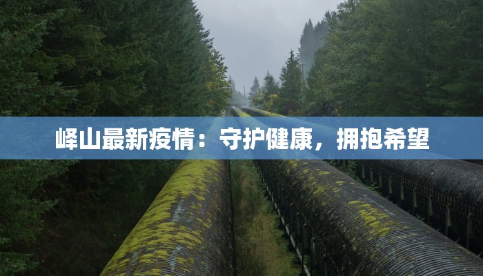 茘浦疫情最新:科学防控,共筑健康屏障 茘浦疫情最新:科学防控,共筑健康屏障