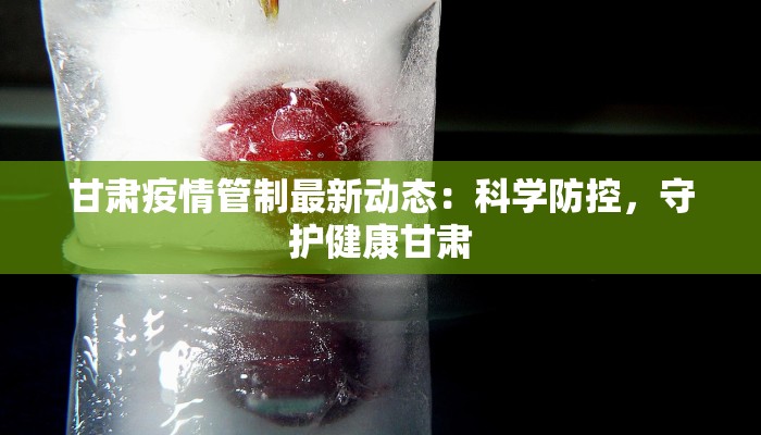 甘肃疫情管制最新动态:科学防控,守护健康甘肃 甘肃疫情管制最新动态:科学防控,守护健康甘肃