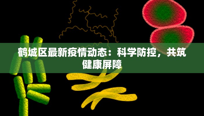 鹤城区最新疫情动态:科学防控,共筑健康屏障 鹤城区最新疫情动态:科学防控,共筑健康屏障