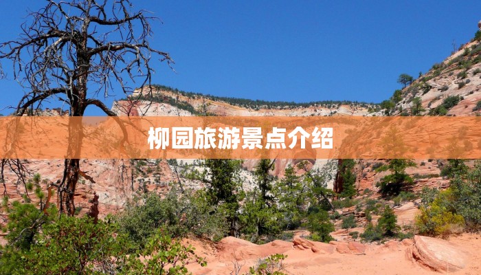 浙江长青疫情最新消息 浙江长青疫情最新消息