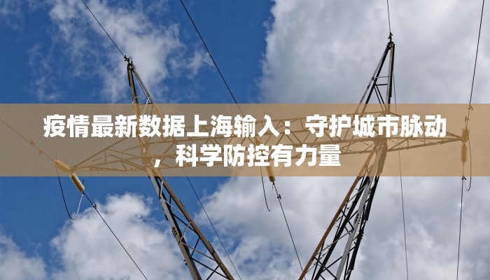 疫情最新数据上海输入:守护城市脉动,科学防控有力量 疫情最新数据上海输入:守护城市脉动,科学防控有力量