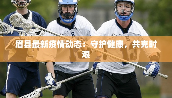 眉县最新疫情动态：守护健康，共克时艰