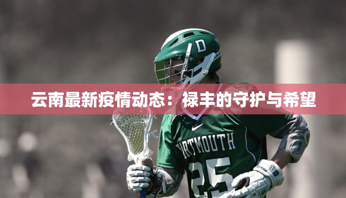 云南最新疫情动态:禄丰的守护与希望 云南最新疫情动态:禄丰的守护与希望