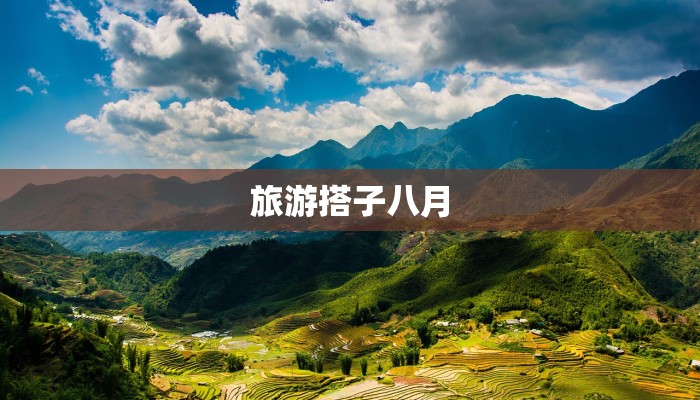 上海最新疫情累计：守护健康，共克时艰