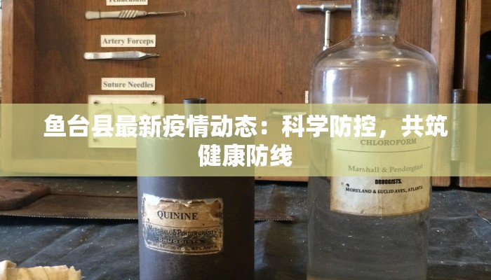 鱼台县最新疫情动态:科学防控,共筑健康防线 鱼台县最新疫情动态:科学防控,共筑健康防线