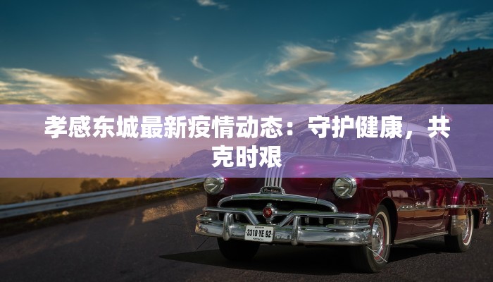 孝感东城最新疫情动态：守护健康，共克时艰