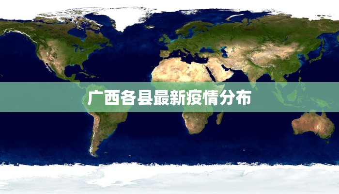 丽园路最新疫情：科学防控，守护健康家园