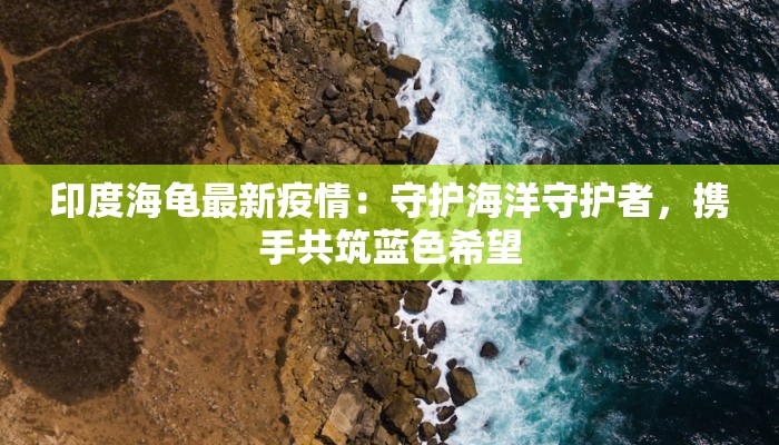 印度海龟最新疫情：守护海洋守护者，携手共筑蓝色希望