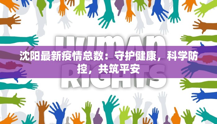 沈阳最新疫情总数：守护健康，科学防控，共筑平安