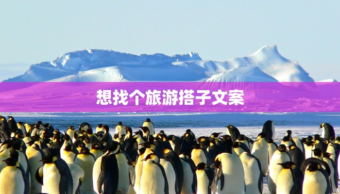 想找个旅游搭子文案