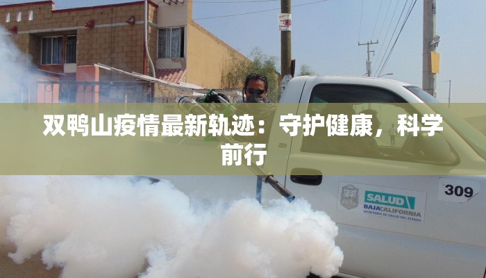 双鸭山疫情最新轨迹:守护健康,科学前行 双鸭山疫情最新轨迹:守护健康,科学前行