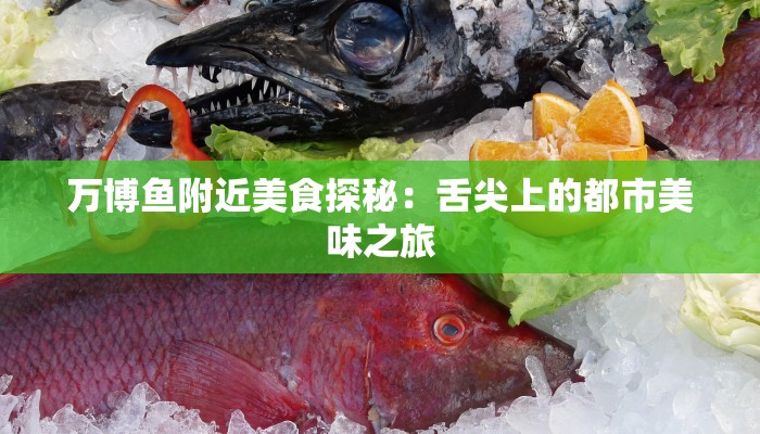 万博鱼附近美食探秘：舌尖上的都市美味之旅