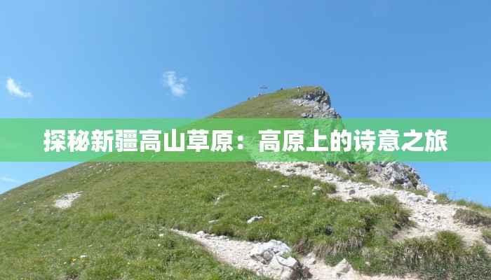 探秘新疆高山草原:高原上的诗意之旅 探秘新疆高山草原:高原上的诗意之旅