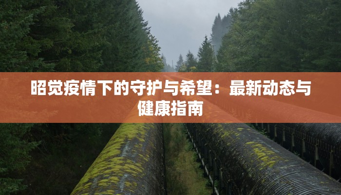 昭觉疫情下的守护与希望：最新动态与健康指南