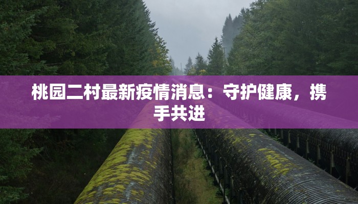 桃园二村最新疫情消息：守护健康，携手共进