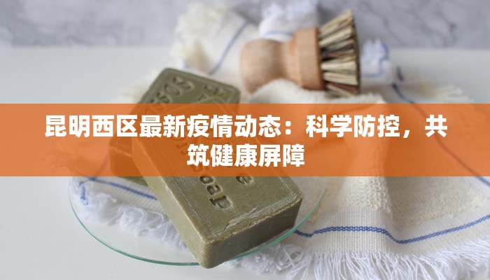 昆明西区最新疫情动态：科学防控，共筑健康屏障