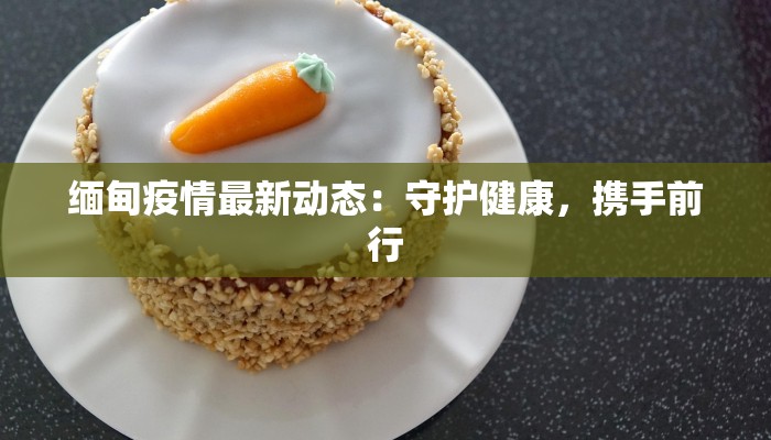 缅甸疫情最新动态：守护健康，携手前行