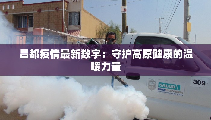 孝感沙沟：疫情下的温暖守护与新生曙光