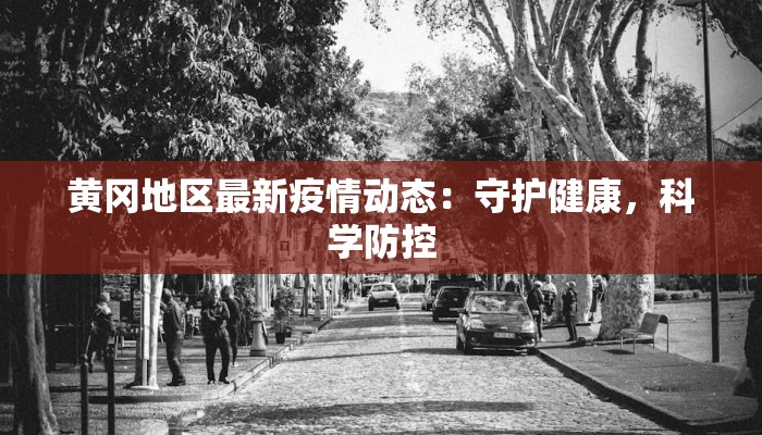 黄冈地区最新疫情动态:守护健康,科学防控 黄冈地区最新疫情动态:守护健康,科学防控