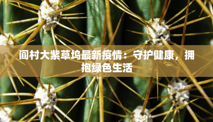 阎村大紫草坞最新疫情:守护健康,拥抱绿色生活 阎村大紫草坞最新疫情:守护健康,拥抱绿色生活