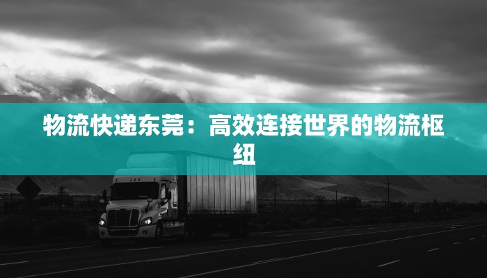 物流快递东莞：高效连接世界的物流枢纽