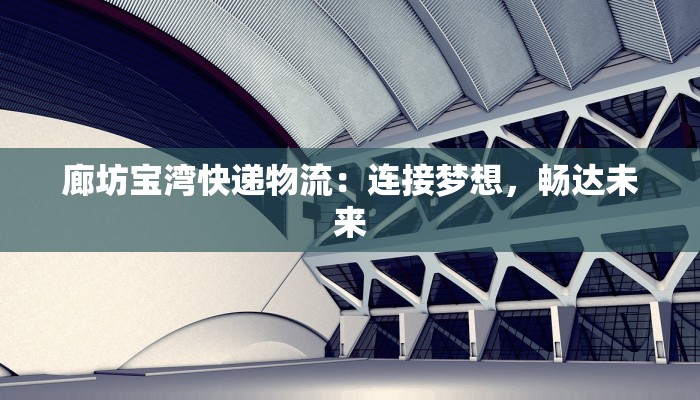 廊坊宝湾快递物流：连接梦想，畅达未来