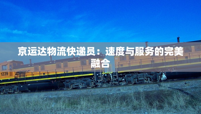 京运达物流快递员：速度与服务的完美融合