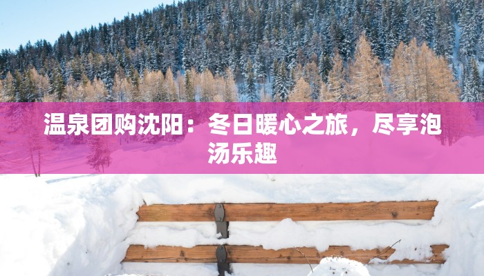 温泉团购沈阳：冬日暖心之旅，尽享泡汤乐趣