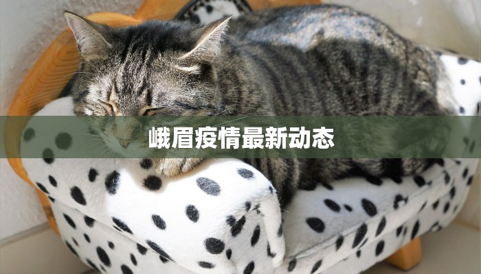 峨眉疫情最新动态 峨眉疫情最新动态