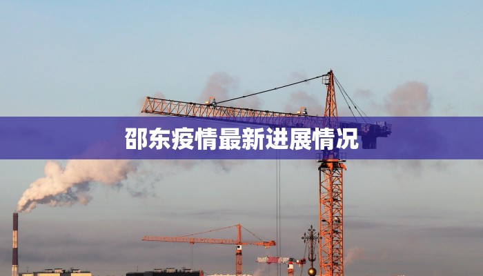 雷州今天最新疫情：科学防控，共筑健康防线