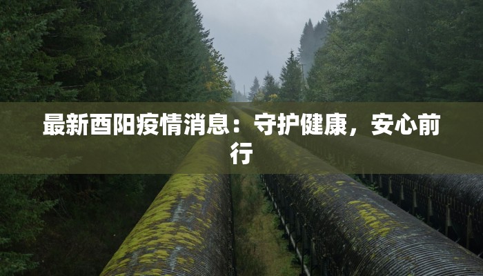 宿迁疫情最新确诊数字：守护健康，科学防控