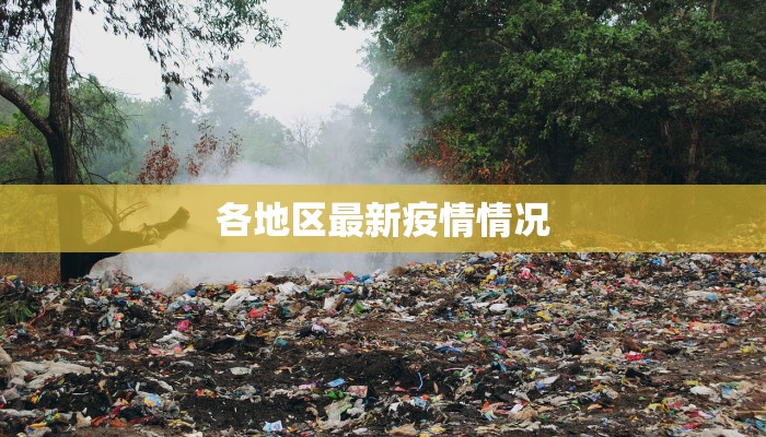 各地区最新疫情情况