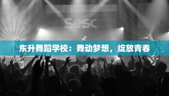 东升舞蹈学校：舞动梦想，绽放青春