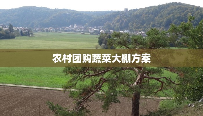 农村团购蔬菜大棚方案