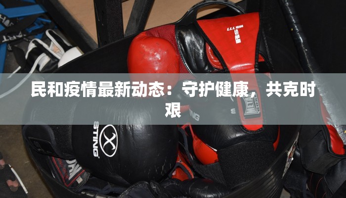 民和疫情最新动态：守护健康，共克时艰