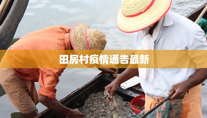 田房村疫情通告最新
