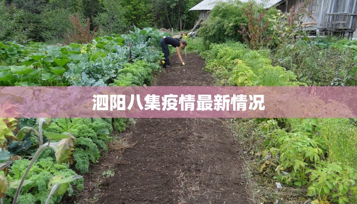 铃木园子服装：优雅与个性的完美融合