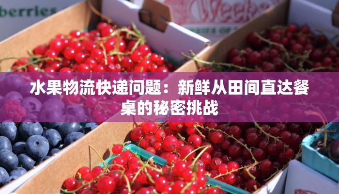 水果物流快递问题：新鲜从田间直达餐桌的秘密挑战