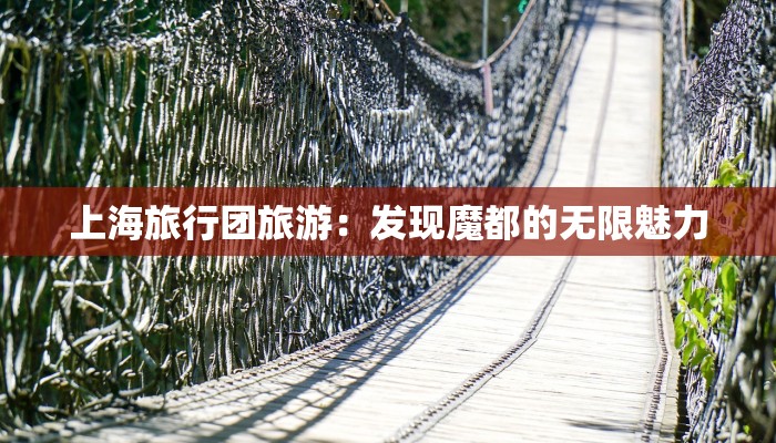 上海旅行团旅游:发现魔都的无限魅力 上海旅行团旅游:发现魔都的无限魅力
